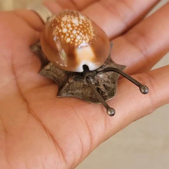 *RARE* epic genuine cowrie shell 925 sterling silver snail brooch